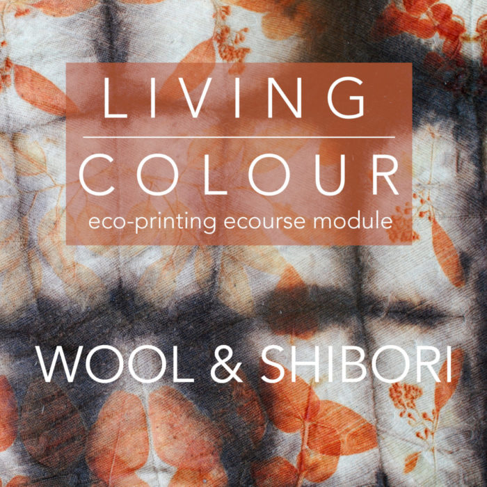 Wool and Shibori module