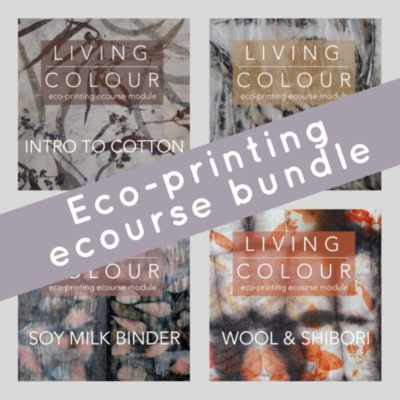 Living Colour ecourse bundle
