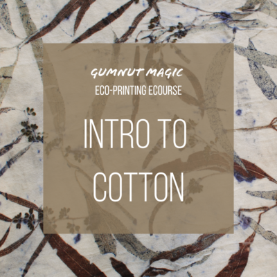 Intro to Cotton