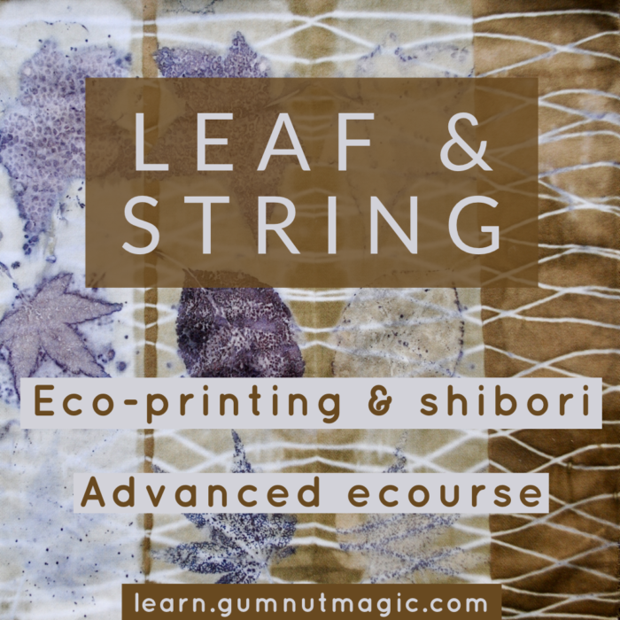 Eco-printing and shibori ecourse