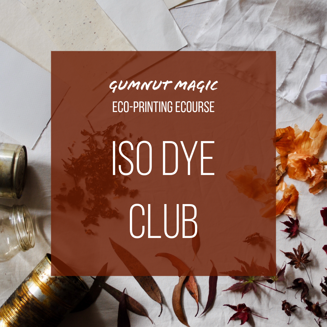 Iso Dye Club eco-printing ecourse