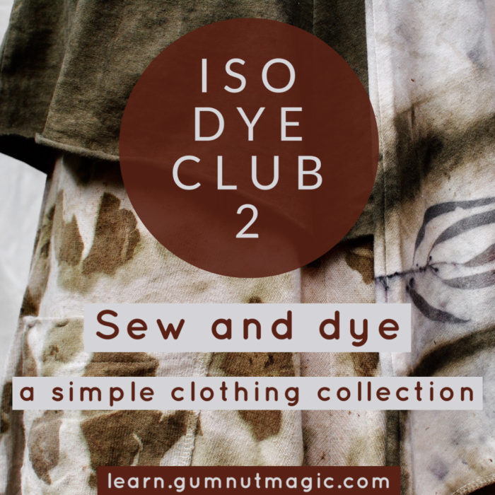 Eco-printing and natural dyeing ecourse