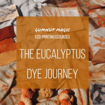 The Eucalyptus Dye Journey